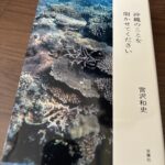 宮沢和史 著書『沖縄のことを聞かせてください』を読んでみた