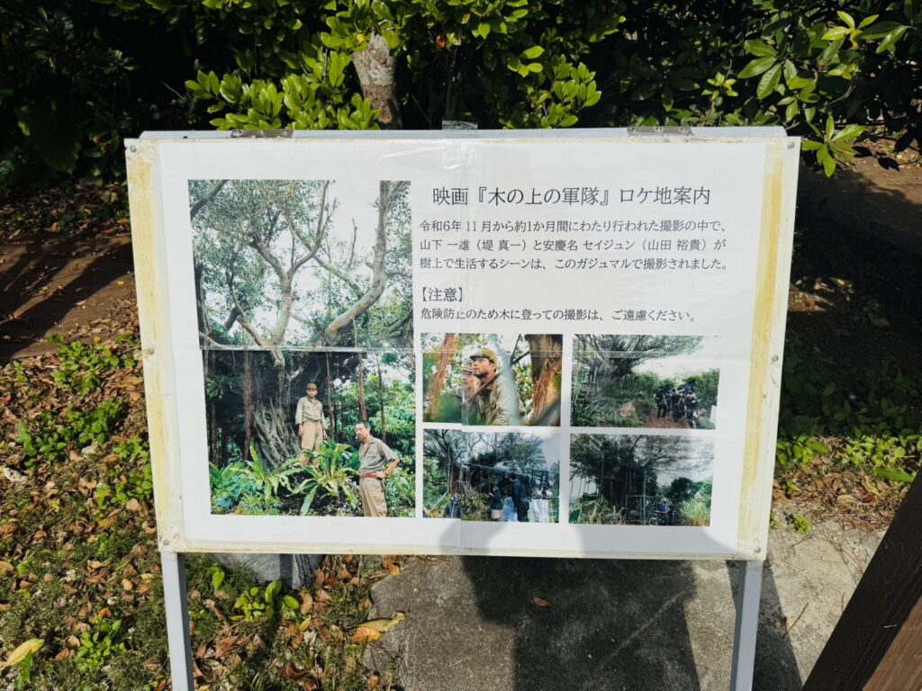 ニーバンガズイマール