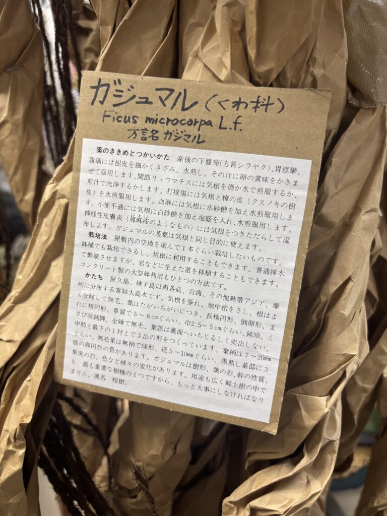 狛江の小さな沖縄資料館