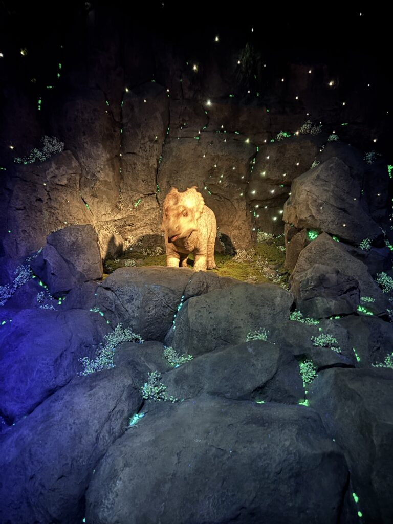 ジャングリア